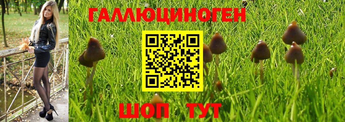 Псилоцибиновые грибы MAGIC MUSHROOMS Новоуральск